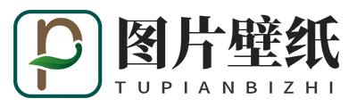 51吃瓜